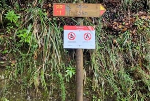 Madeira: Surreal East Experience