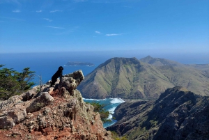 Trek sur mesure : votre aventure, votre chemin