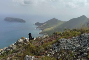 Trek sur mesure : votre aventure, votre chemin
