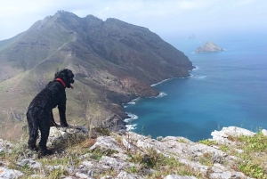 Trek sur mesure : votre aventure, votre chemin