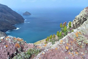 Trek sur mesure : votre aventure, votre chemin