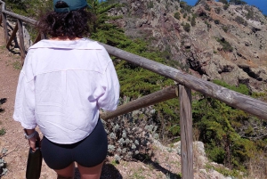 Trek sur mesure : votre aventure, votre chemin