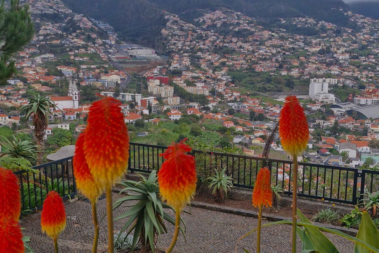 DEN FANTASTISKE OFF-ROAD BBQ-PIKNIK-TUREN MED KABELTAXI