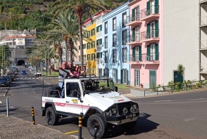 DEN FANTASTISKE OFF-ROAD BBQ-PIKNIK-TUREN MED KABELTAXI