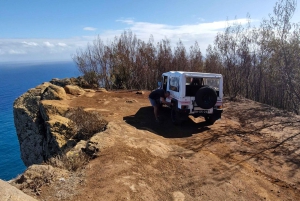 DEN FANTASTISKE OFF-ROAD BBQ-PIKNIK-TUREN MED KABELTAXI