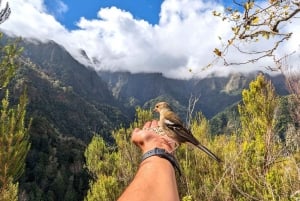 Pico do Arieiro in 4h: Immersive Experience (Private Cabrio)