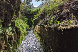 Pico do Arieiro in 4h: Immersive Experience (Private Cabrio)