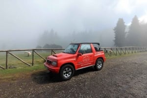 Pico do Arieiro in 4h: Immersive Experience (Private Cabrio)