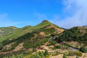 Pico do Arieiro in 4h: Immersive Experience (Private Cabrio)