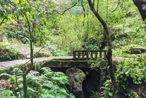 Pico do Arieiro in 4h: Immersive Experience (Private Cabrio)