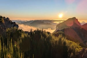 Pico do Arieiro in 4h: Immersive Experience (Private Cabrio)