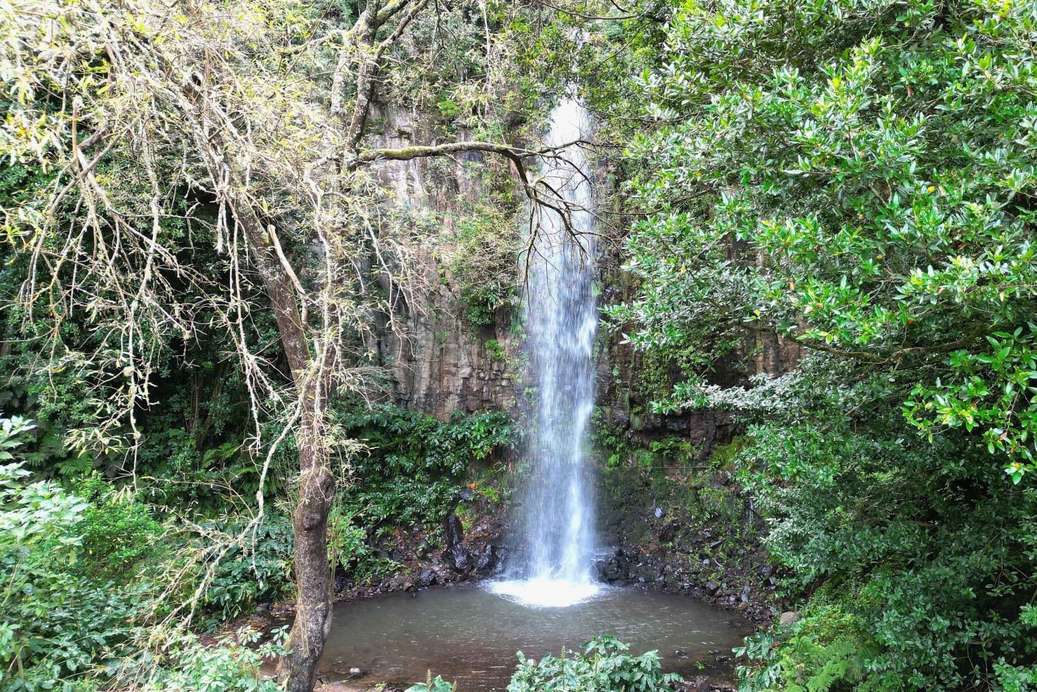 The Whisper Of The East, Santana & Pico do Arieiro Jeep Tour