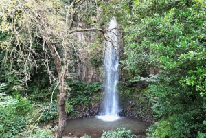 The Whisper Of The East, Santana & Pico do Arieiro Jeep Tour