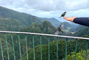 The Whisper Of The East, Santana & Pico do Arieiro Jeep Tour