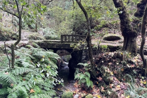 The Whisper Of The East, Santana & Pico do Arieiro Jeep Tour