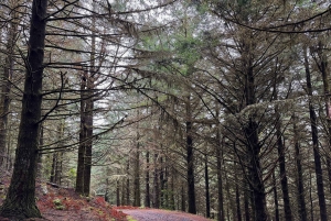 The Whisper Of The East, Santana & Pico do Arieiro Jeep Tour