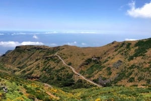 Madeira: South Madeira Private 4x4 Tour with Pickup
