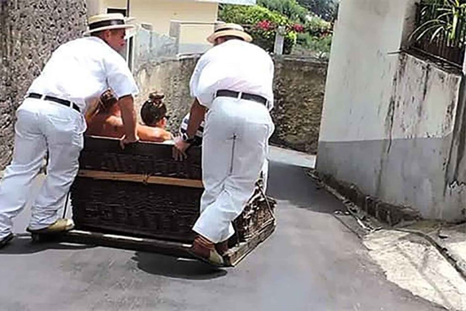 Toboggan Ride & Madeira Wine Tasting Tour