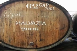 Toboggan Ride & Madeira Wine Tasting Tour