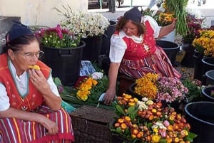 Toboggan Ride & Madeira Wine Tasting Tour