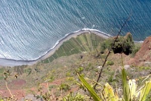 Toboggan Ride & Madeira Wine Tasting Tour