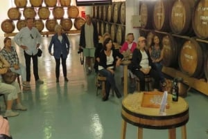 Toboggan Ride & Madeira Wine Tasting Tour