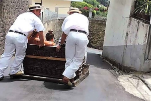 Toboggan Ride & Madeira Wine Tasting Tour