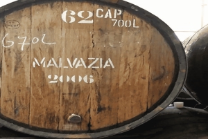 Toboggan Ride & Madeira Wine Tasting Tour