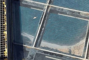 Toboggan Ride & Madeira Wine Tasting Tour