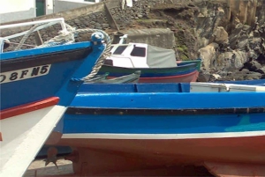 Toboggan Ride & Madeira Wine Tasting Tour