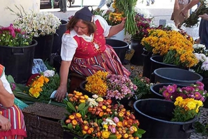 Toboggan Ride & Madeira Wine Tasting Tour