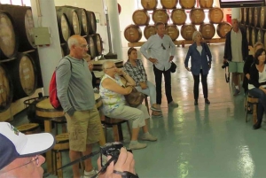 Toboggan Ride & Madeira Wine Tasting Tour