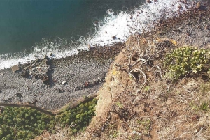 Toboggan Ride & Madeira Wine Tasting Tour