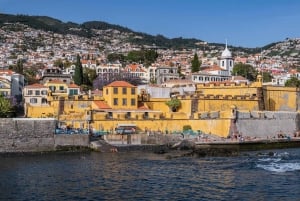 Tour: History, Tradition and Flavors of Funchal