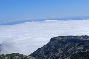 Eastern Madeira: Full-Day Tour with Rum Tasting