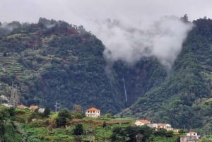 Eastern Madeira: Full-Day Tour with Rum Tasting