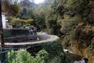 Eastern Madeira: Full-Day Tour with Rum Tasting