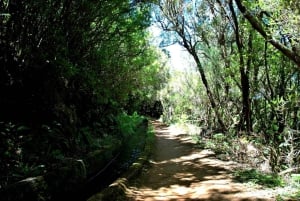 Trail to Wind Lagoon – Explore Levada do Alecrim