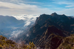 Transfer från Machico till Pico Ruivo-Areeiro eller PR9