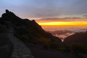 Overførsel fra Machico til Pico Ruivo-Areeiro eller PR9