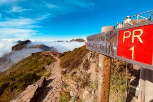 Transfert de Pico do Areeiro à Achada do Teixeira