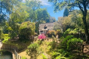 Transfer from Porto da Cruz to Pico Ruivo - Arieiro Or PR9