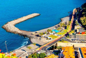 トロピカルタイド、ポルトモニス、ファナルの森4WDジープツアー