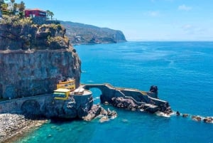 トロピカルタイド、ポルトモニス、ファナルの森4WDジープツアー