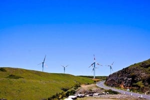 トロピカルタイド、ポルトモニス、ファナルの森4WDジープツアー