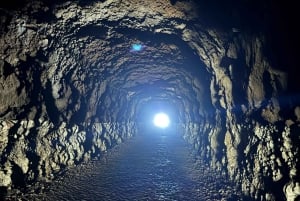 トロピカルタイド、ポルトモニス、ファナルの森4WDジープツアー