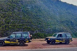 トロピカルタイド、ポルトモニス、ファナルの森4WDジープツアー