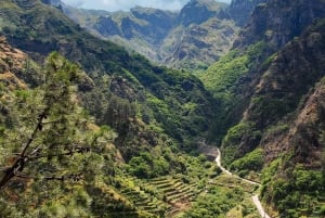 Tour in jeep 4 ruote motrici: marea tropicale, Porto Moniz e foresta di Fanal