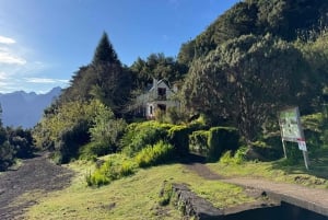 Tour in jeep 4 ruote motrici: marea tropicale, Porto Moniz e foresta di Fanal