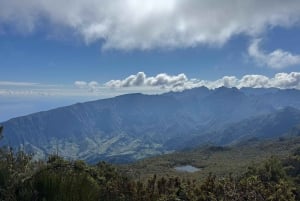 Tour in jeep 4 ruote motrici: marea tropicale, Porto Moniz e foresta di Fanal